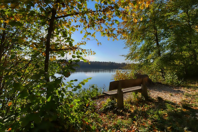 数已超过7 数已超过7