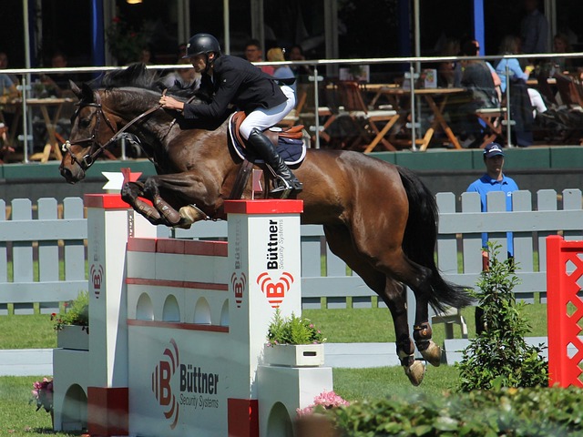 城市未来在 城市未来在