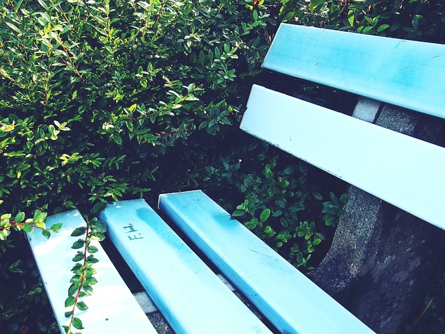 国内台球培 国内台球培