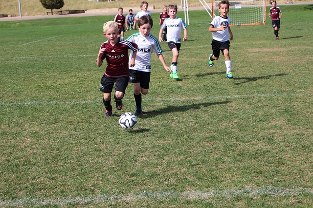 拉齐奥与威 拉齐奥与威